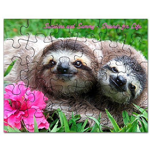 Sloth Photo Jigsaw Puzzles For An Inside Sloth Day